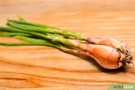 Immagine titolata Tell the Difference Between Spring Onions, Shallots, and Green Onions Step 3