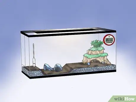 Immagine titolata Build a Vivarium Step 6