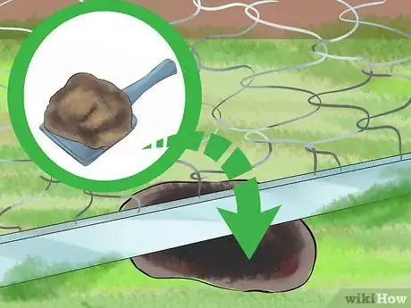 Immagine titolata Catch a Pet Rabbit Step 14