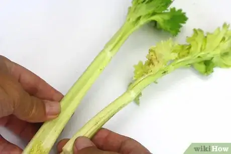 Immagine titolata Cut Celery Step 1