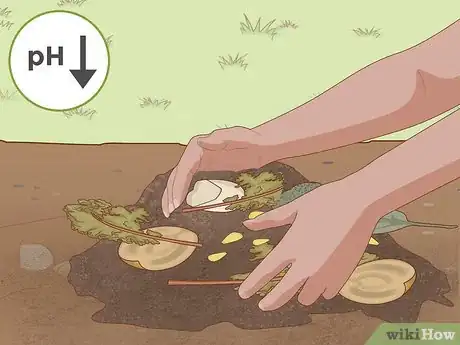 Immagine titolata Lower Soil pH Step 6
