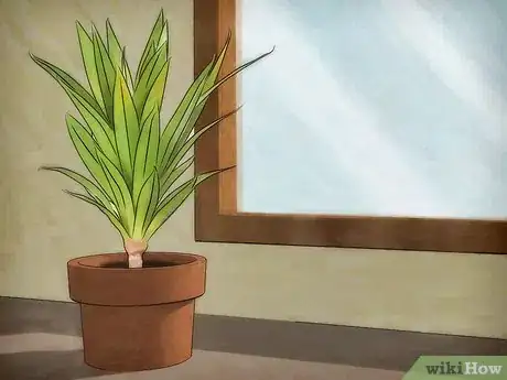 Immagine titolata Protect Plants from the Cold Step 1