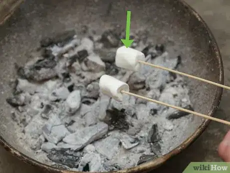 Immagine titolata Roast Marshmallows Step 4