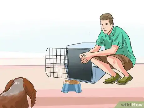 Immagine titolata Train Cavalier King Charles Spaniels Step 7