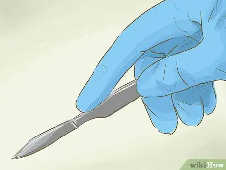 Immagine titolata Increase Breast Size Step 16