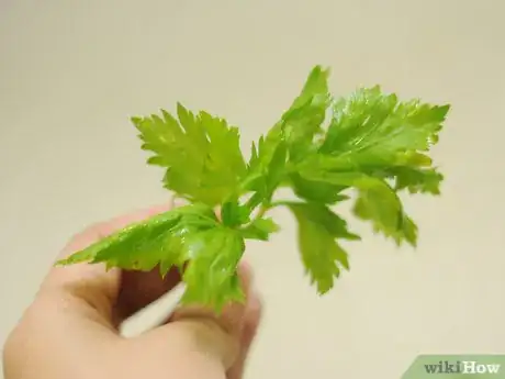 Immagine titolata Use Celery Step 6