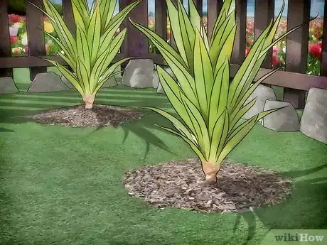 Immagine titolata Protect Plants from the Cold Step 2