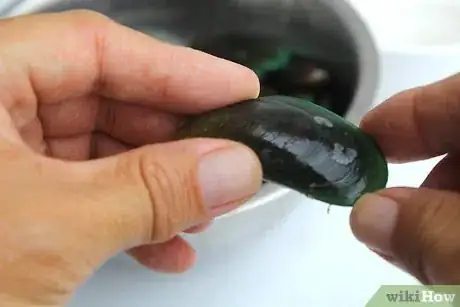 Immagine titolata Store Mussels Step 6