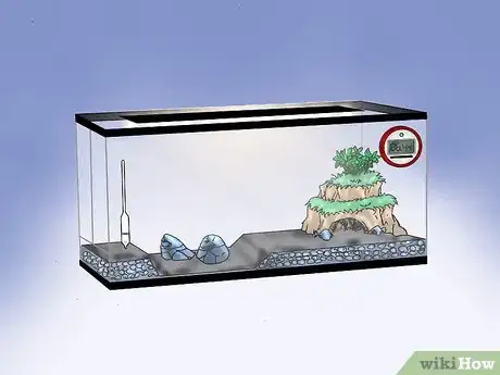 Immagine titolata Build a Vivarium Step 7