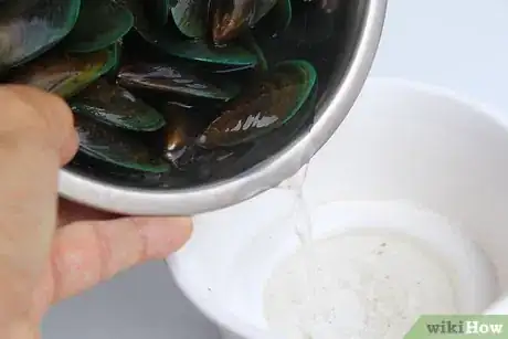 Immagine titolata Store Mussels Step 4