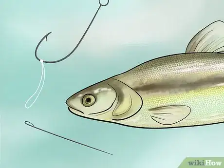 Immagine titolata Bait a Fishing Hook Step 21