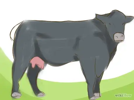 Immagine titolata Identify Black Angus Cattle Step 2.png