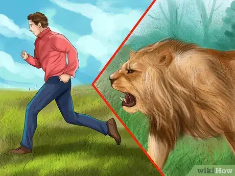 Immagine titolata Survive a Lion Attack Step 2