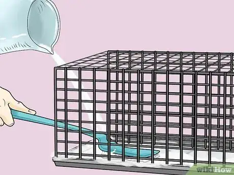 Immagine titolata Care for Baby Guinea Pigs Step 11