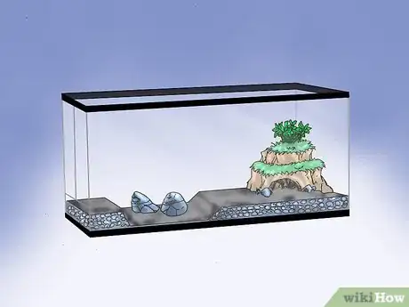 Immagine titolata Build a Vivarium Step 4