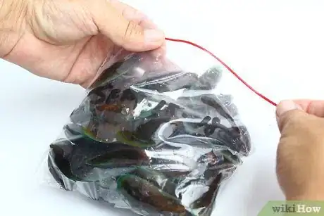 Immagine titolata Store Mussels Step 8