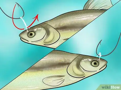 Immagine titolata Bait a Fishing Hook Step 26