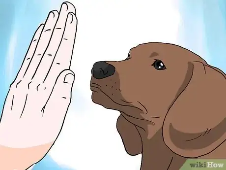 Immagine titolata Introduce Your Baby to Your Dog Step 5Bullet1