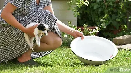 Immagine titolata Bathe Your Puppy Step 3