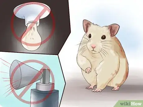 Immagine titolata Keep a Happy Hamster Step 5