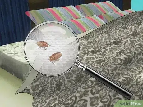 Immagine titolata Stop Bed Bug Bites Immediately Step 26