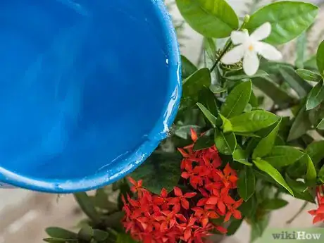 Immagine titolata Make Floral Craft Arrangements Step 11
