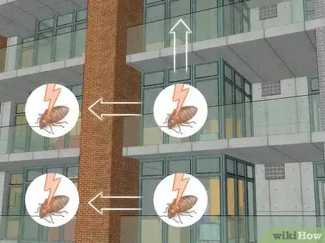 Immagine titolata Stop Bed Bug Bites Immediately Step 22