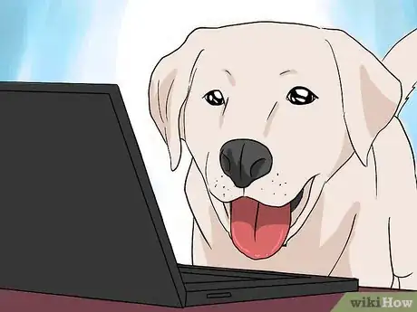 Immagine titolata Introduce Your Baby to Your Dog Step 7Bullet2