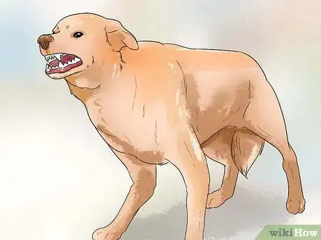 Immagine titolata Stop Aggressive Behavior in Dogs Step 15