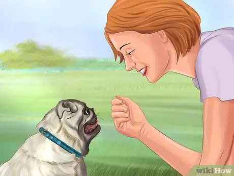 Immagine titolata Live with a Pug Dog Step 8