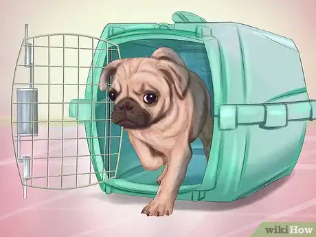 Immagine titolata Live with a Pug Dog Step 6