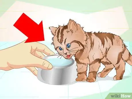 Immagine titolata Get a Sick Kitten to Eat Step 6