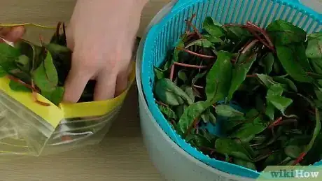 Immagine titolata Match Herbs and Spices to Vegetables Step 19