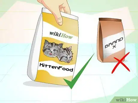 Immagine titolata Get a Sick Kitten to Eat Step 2