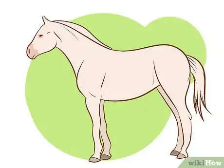 Immagine titolata Distinguish Horse Color by Name Step 3Bullet3