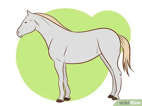 Immagine titolata Distinguish Horse Color by Name Step 2Bullet5
