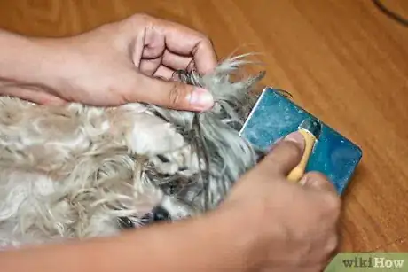 Immagine titolata Brush Mats out of Dog Hair Step 5