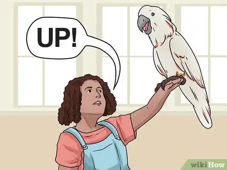 Immagine titolata Teach Your Bird to Talk Step 8