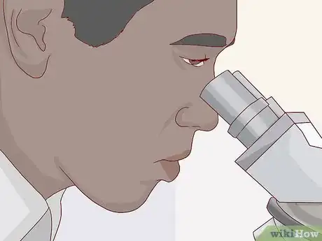 Immagine titolata Find and Care for a Pet Tardigrade (Water Bear) Step 8