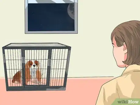 Immagine titolata Train Cavalier King Charles Spaniels Step 8