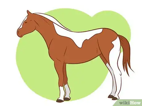 Immagine titolata Distinguish Horse Color by Name Step 3Bullet6