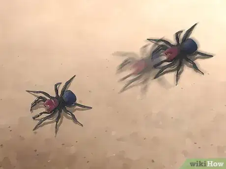 Immagine titolata Identify a Mouse Spider Step 11