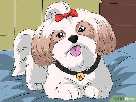 Immagine titolata Introduce Your Baby to Your Dog Step 4