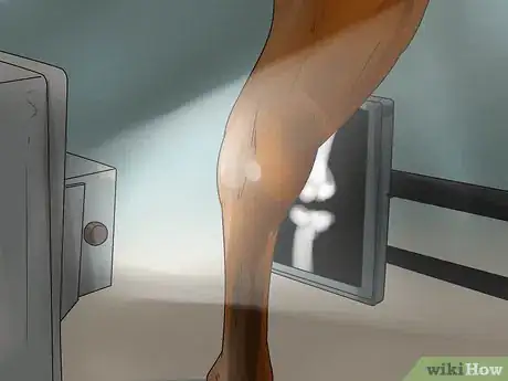 Immagine titolata Tell if Your Horse Needs Hock Injections Step 17