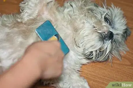 Immagine titolata Brush Mats out of Dog Hair Step 7