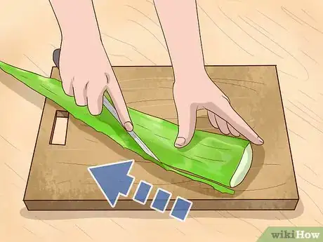 Immagine titolata Store Aloe Leaves Step 6