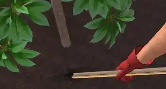 Picchettare un Cespuglio o un Albero