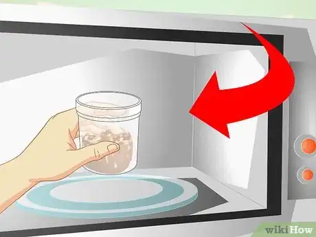 Immagine titolata Get a Sick Kitten to Eat Step 4