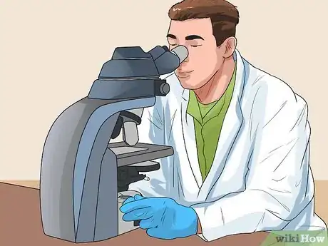 Immagine titolata Tell if Your Dog Has Parvo Step 10