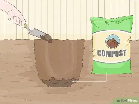 Immagine titolata Plant Peonies Step 8